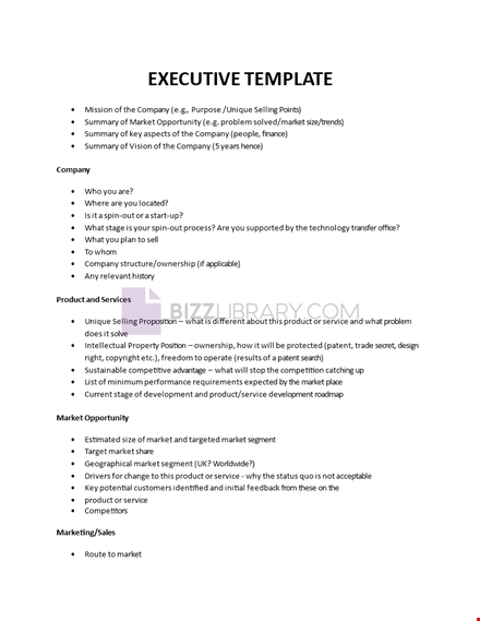 executive summary example template