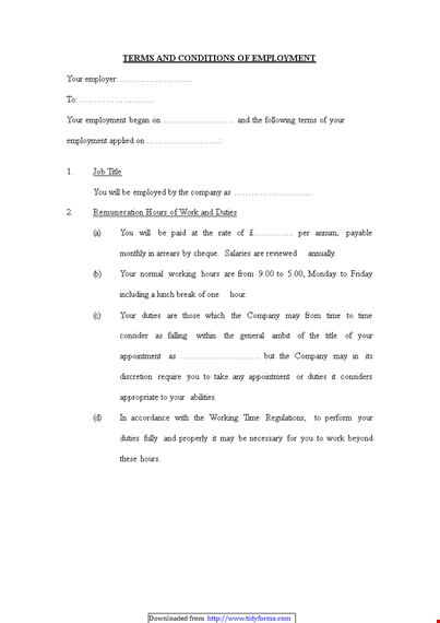 employment and holiday company terms and conditions template template