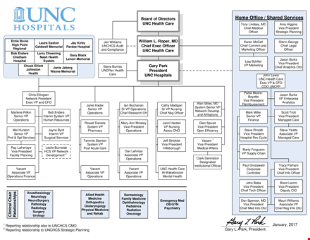 large hospital organizational chart template template