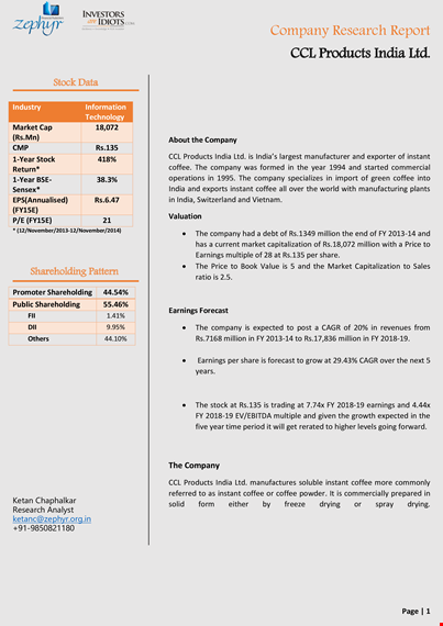 company research example template template