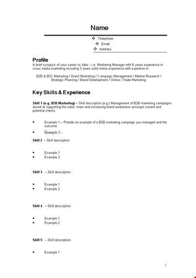 marketing manager resume format template template