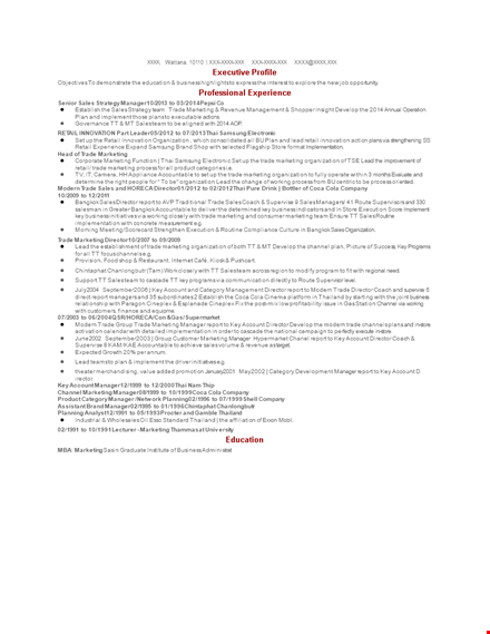 sales strategy manager resume template