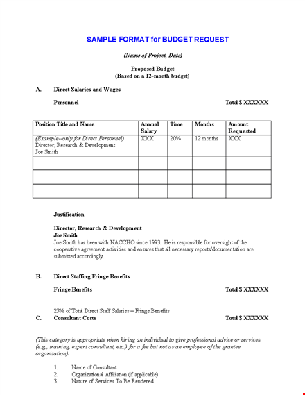 mentorship project sample budget proposal template template