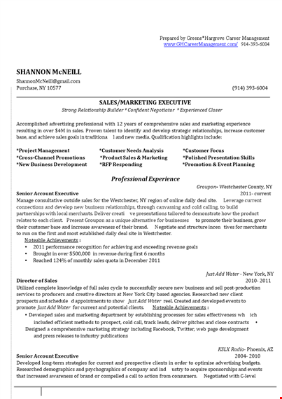 sales marketing executive resume: phoenix | marketing & sales expert template