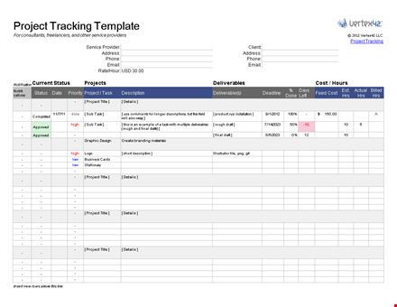 freelancer project tracking template template