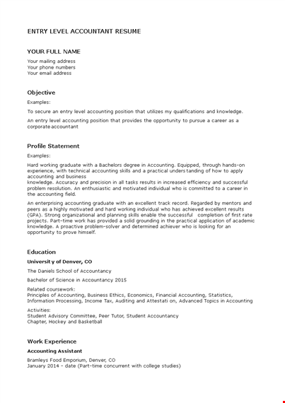 entry level accountant resume template