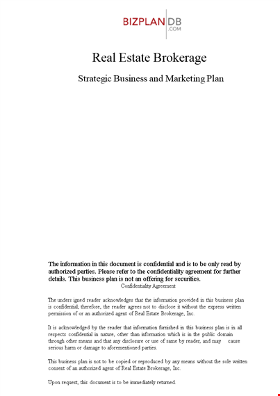 real estate agent sales plan template template