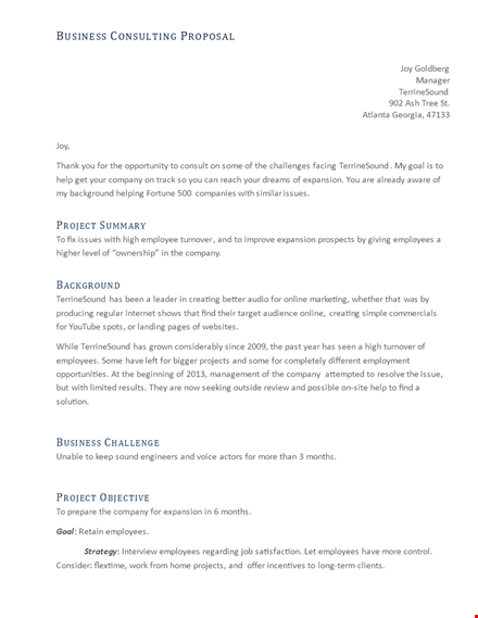 consulting proposal template for company employees strategy | terrinesound template