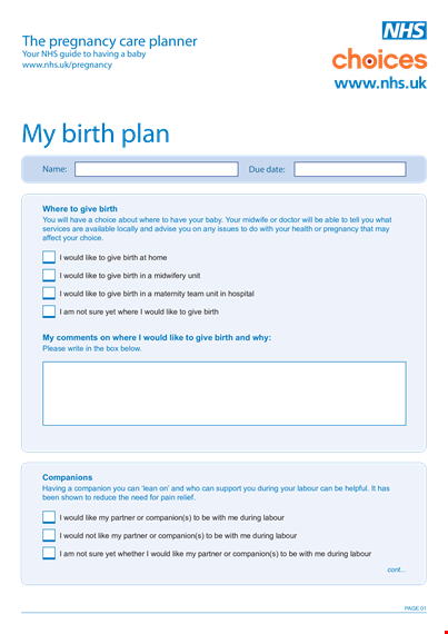 pregnancy birth plan template - create a personalized plan for your birth and labour journey template