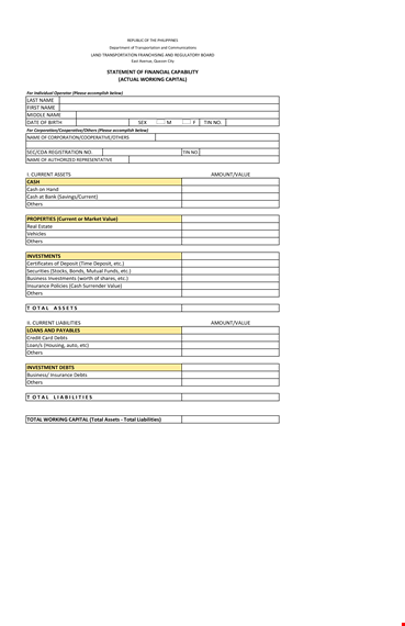 financial capability statement template template