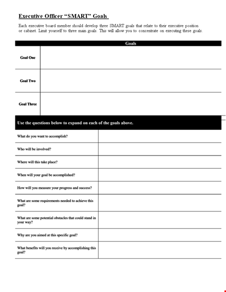 executive smart goals example template