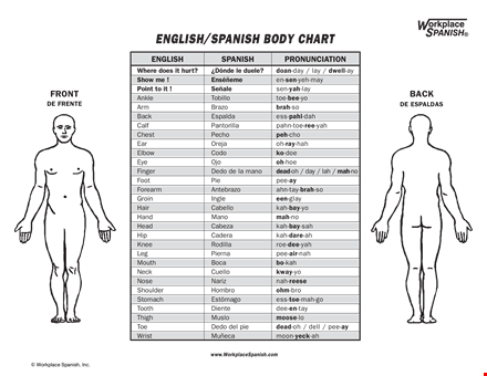 spanish body chart - comprehensive visual guide to the human body in spanish template