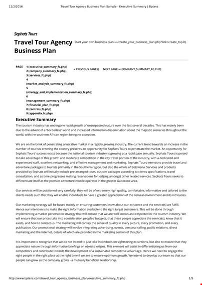 travel agency business plan template template