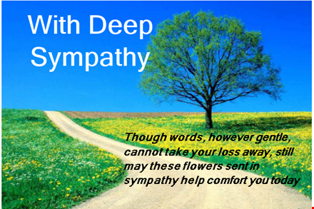 condolence message examples for comforting sympathy messages template