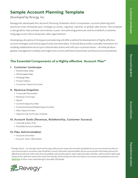 strategic account plan: optimize account value & uncover opportunities | revegy template