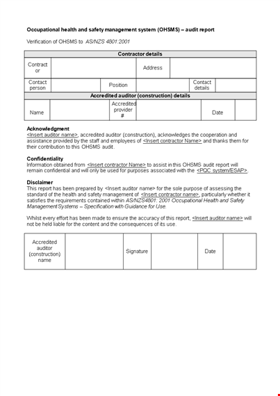 safety audit report template