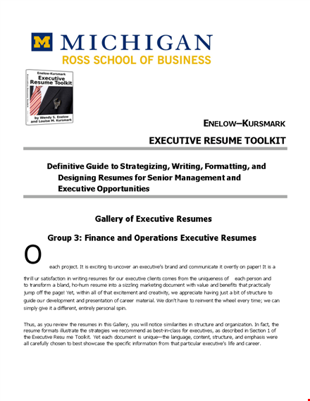 finance executive resume sample template