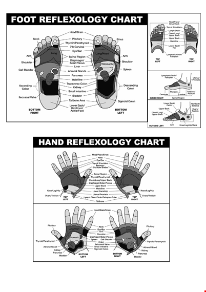 foot reflexology chart - complete guide template