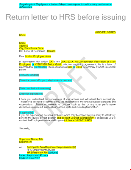 state and describe employee misconduct with a formal letter of reprimand template