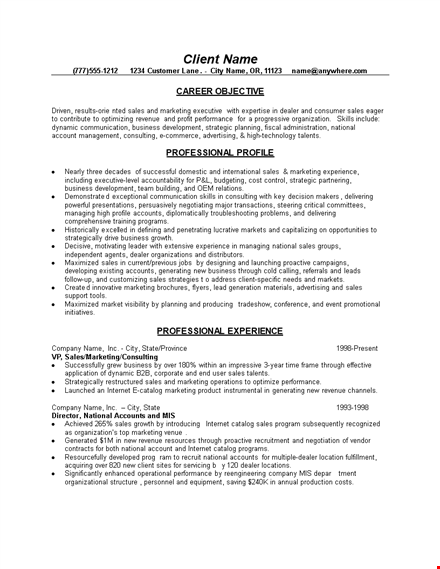 sales job resume examples template