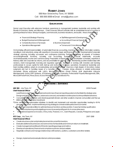 chief financial officer resume sample template