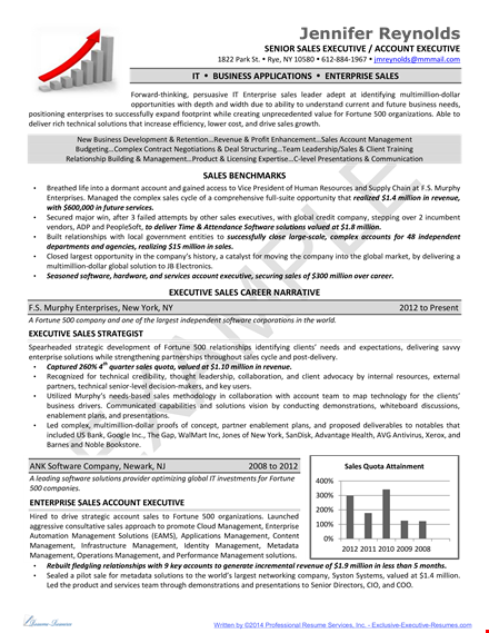 senior sales account executive resume template