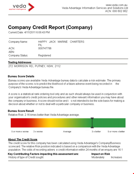 company credit report | get comprehensive credit information template