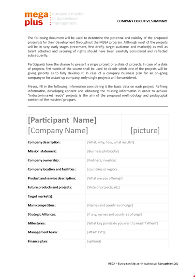 company executive summary example template