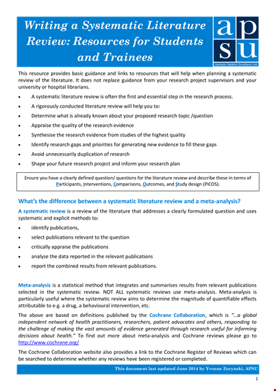 systematic literature review example template