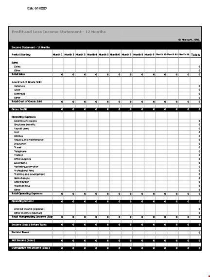 track your monthly income and sales with our profit and loss template template