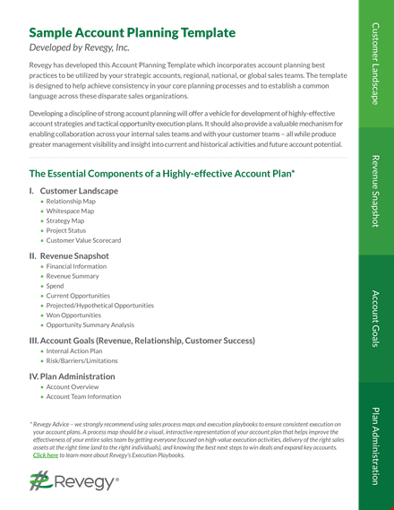 one page strategic account plan template