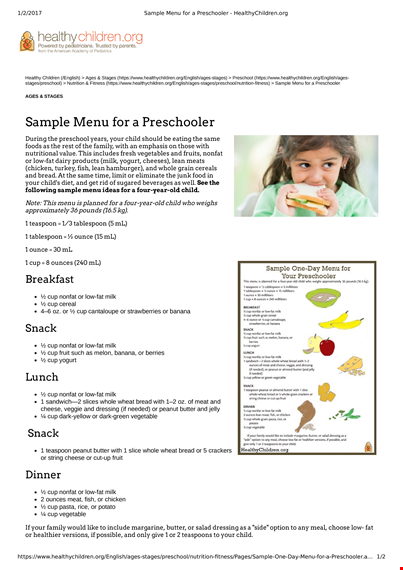 preschool meal plan template template