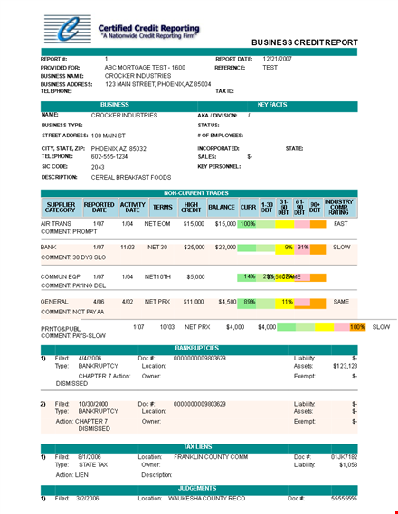 free business credit report template