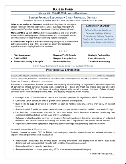 senior finance executive resume template