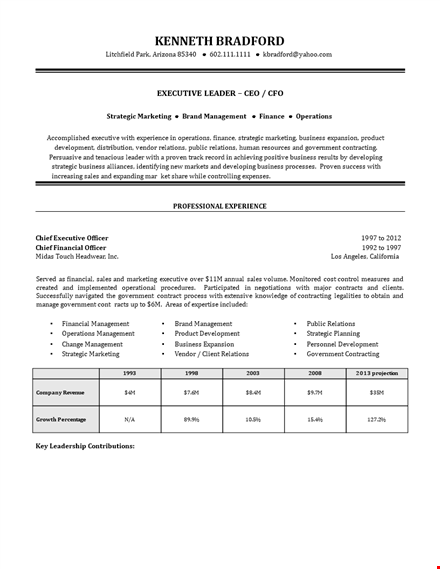 executive level resume sample template