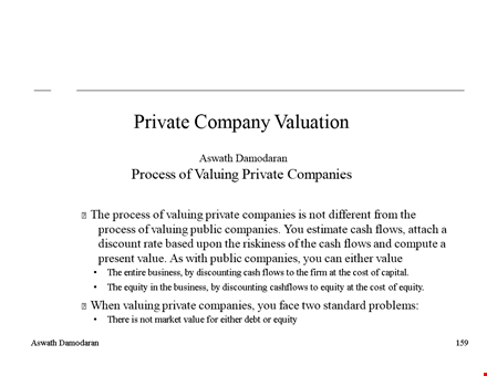 private company valuation examle template