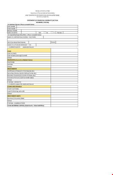 financial capability statement template - evaluate your value, current situation, and debts template