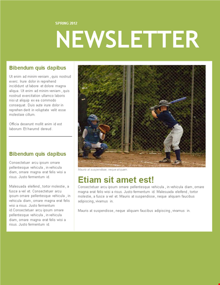 discover the best newsletter template - ornare, vehicula & magna designs template