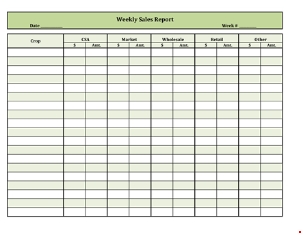 weekly retail sales report template