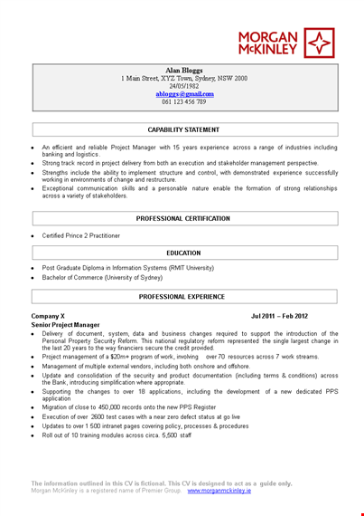 project manager curriculum vitae - business management expertise across projects template