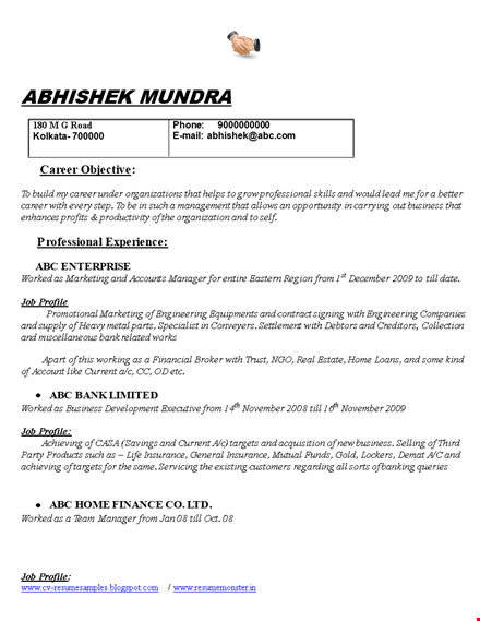 marketing accounts manager resume template