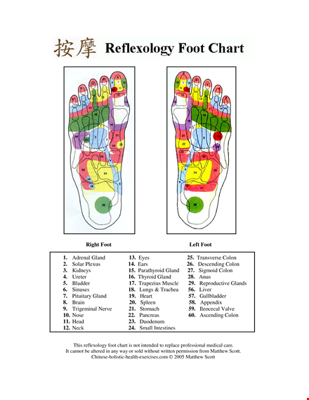 foot reflexology chart printable template template