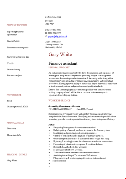 sales assistant finance resume template