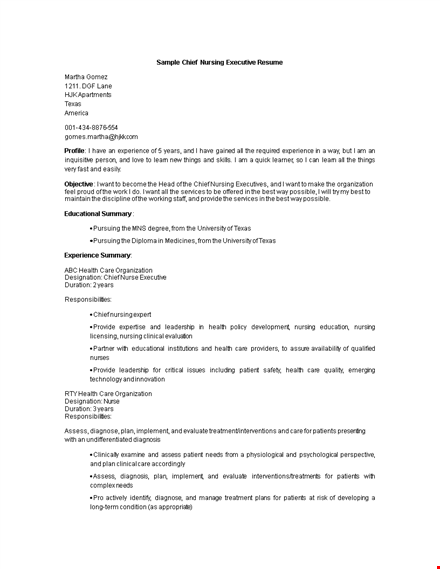 chief nurse executive resume template