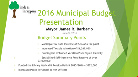 municipal budget presentation template template