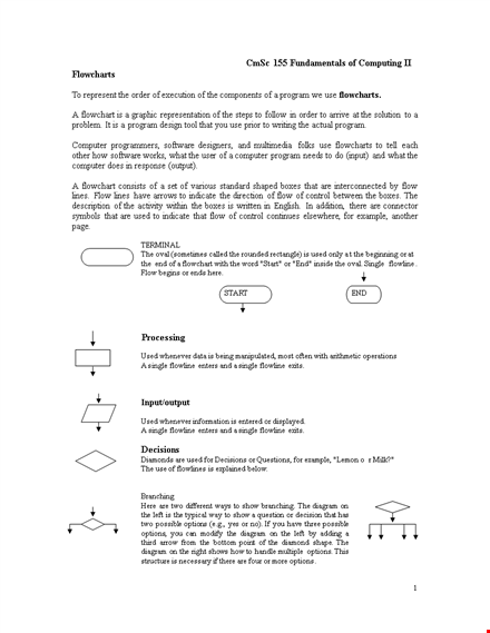 yes no flowchart template word template
