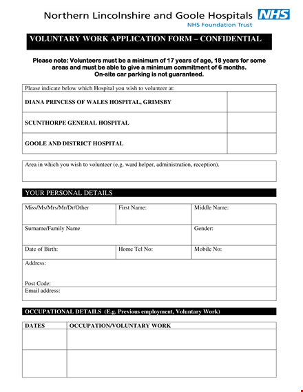 volunteer work application template