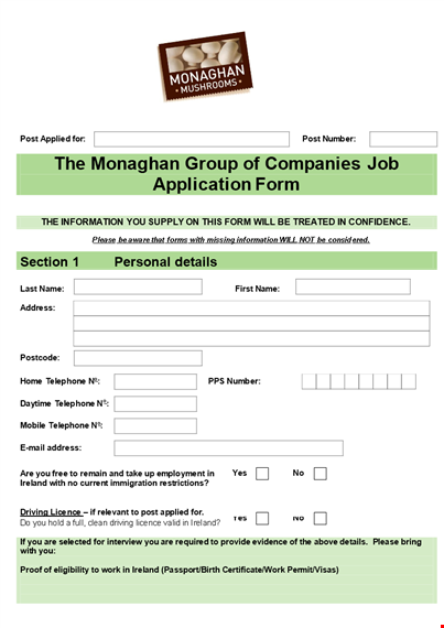 employment application template - please address, section, qualifications template