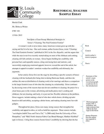 sample rhetorical analysis essay - a comprehensive cleaning guide with grose's thesis template