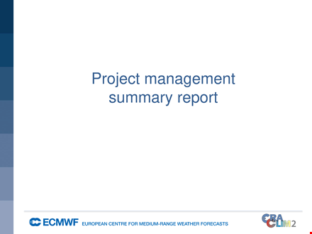 project management summary report template template